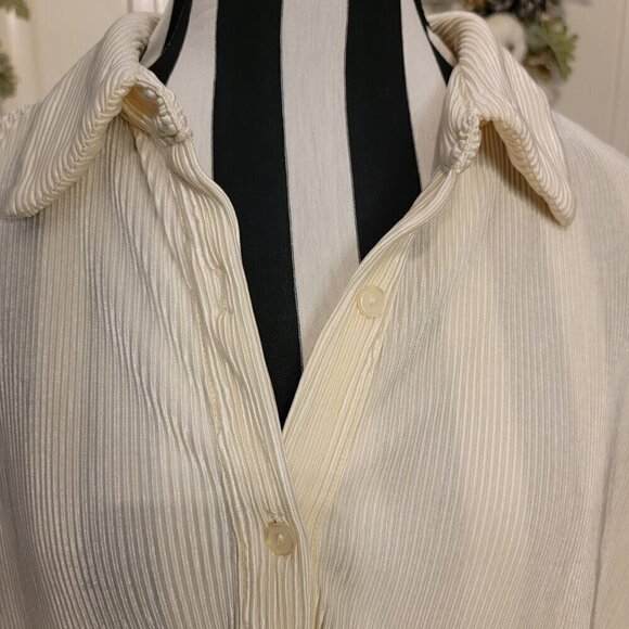 Beige Botany Plissé Shirt - Ivory Size S - Picture 3 of 9